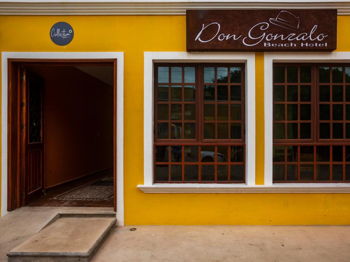 Hotel Beach Don Gonzalo 塞莱斯通 外观 照片