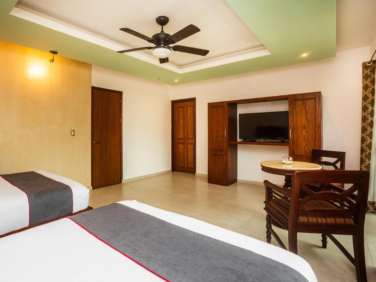 Hotel Beach Don Gonzalo 塞莱斯通 外观 照片