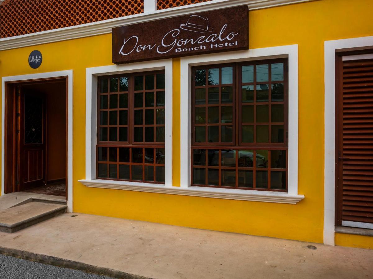 Hotel Beach Don Gonzalo 塞莱斯通 外观 照片